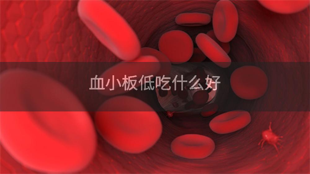 血小板低吃什么好