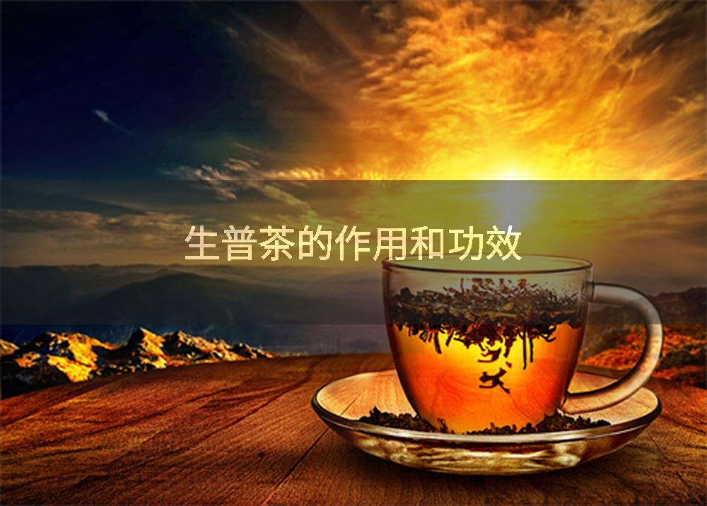生普茶的作用和功效