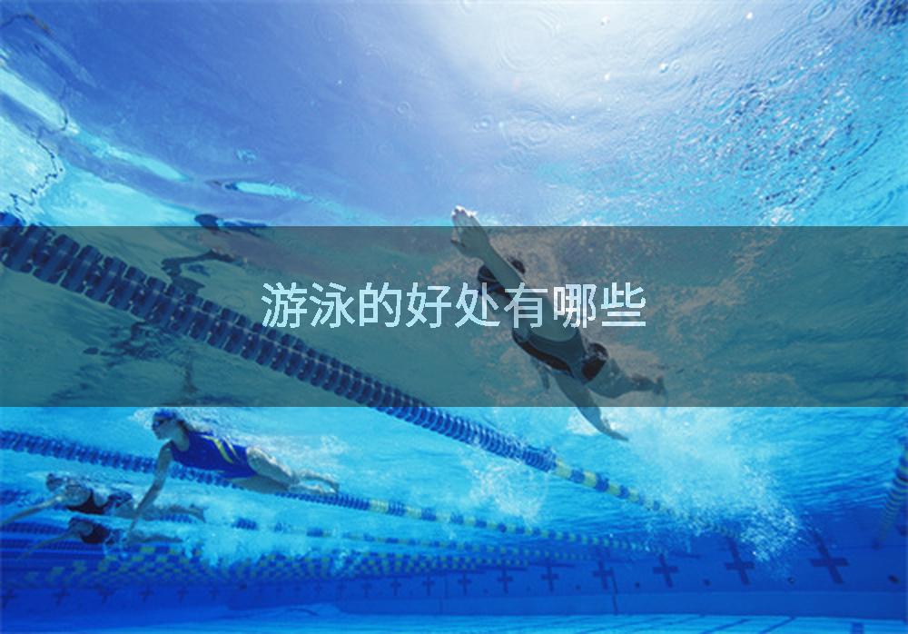 游泳的好处有哪些
