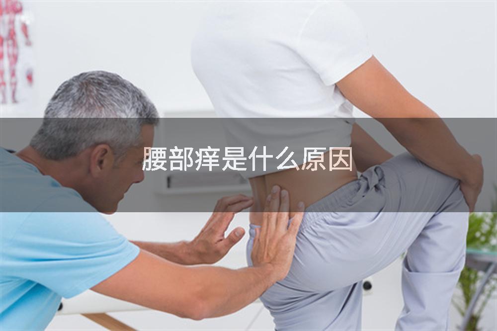 腰部痒是什么原因