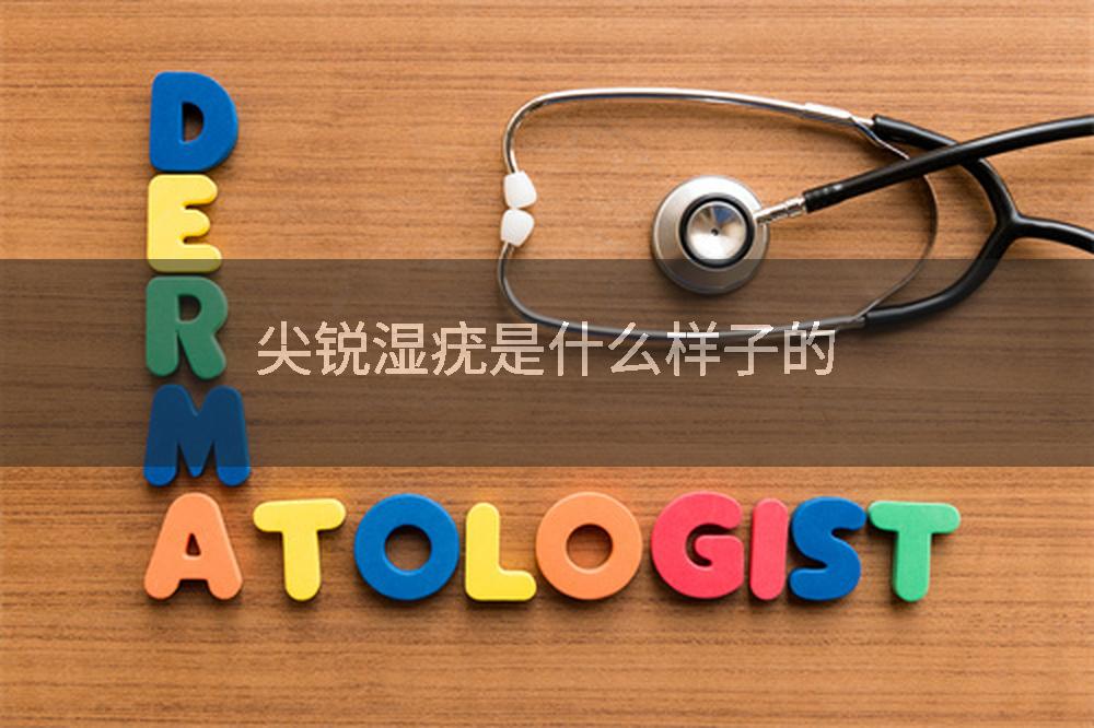 尖锐湿疣是什么样子的