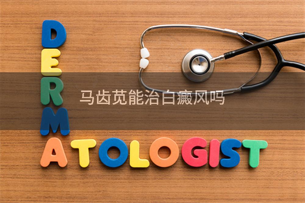 马齿苋能治白癜风吗