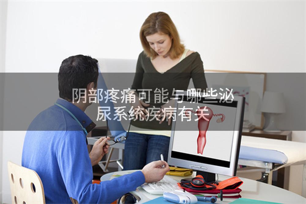 阴部疼痛可能与哪些泌尿系统疾病有关