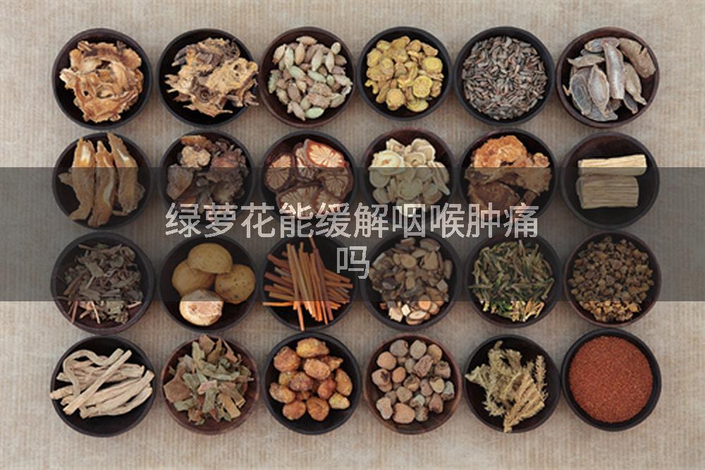 绿萝花能缓解咽喉肿痛吗