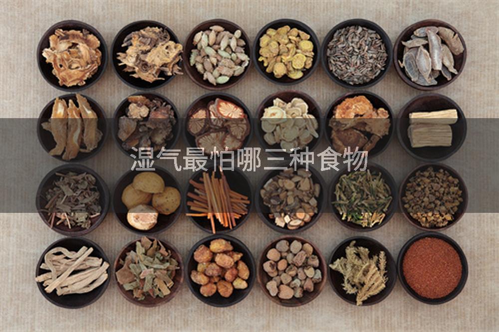 湿气最怕哪三种食物