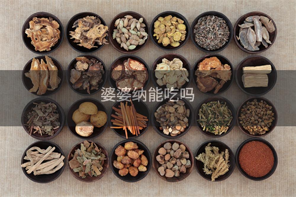 婆婆纳能吃吗