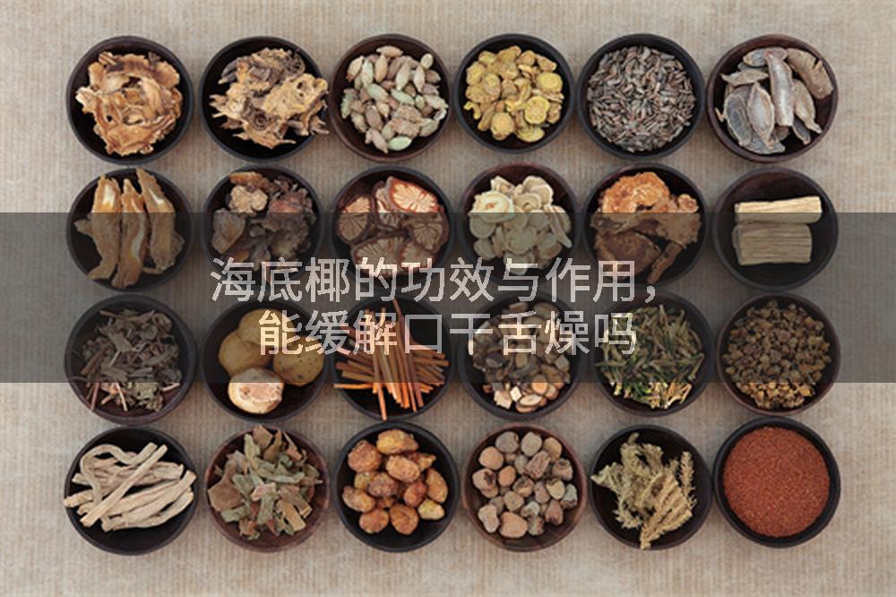 海底椰的功效与作用，能缓解口干舌燥吗