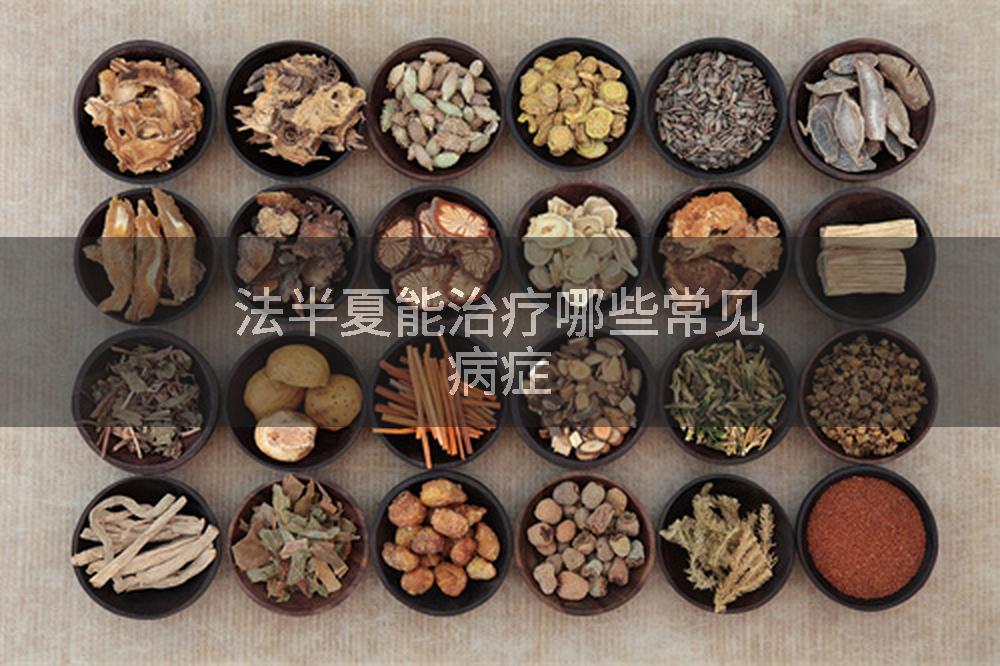 法半夏能治疗哪些常见病症