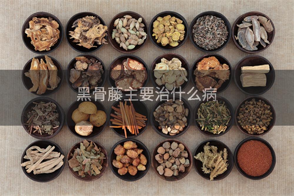黑骨藤主要治什么病