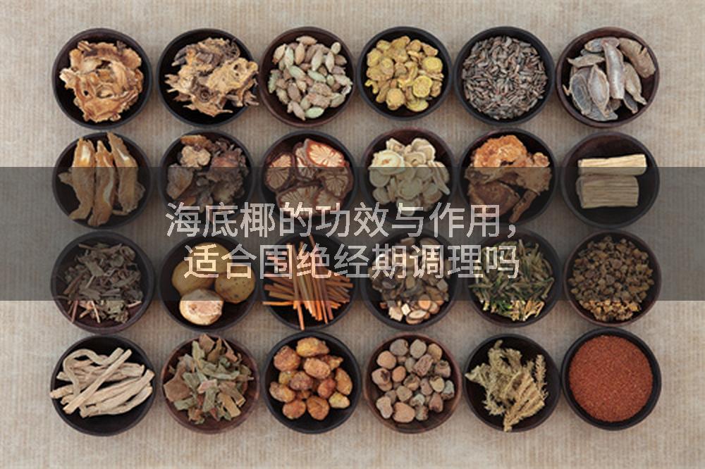 海底椰的功效与作用，适合围绝经期调理吗