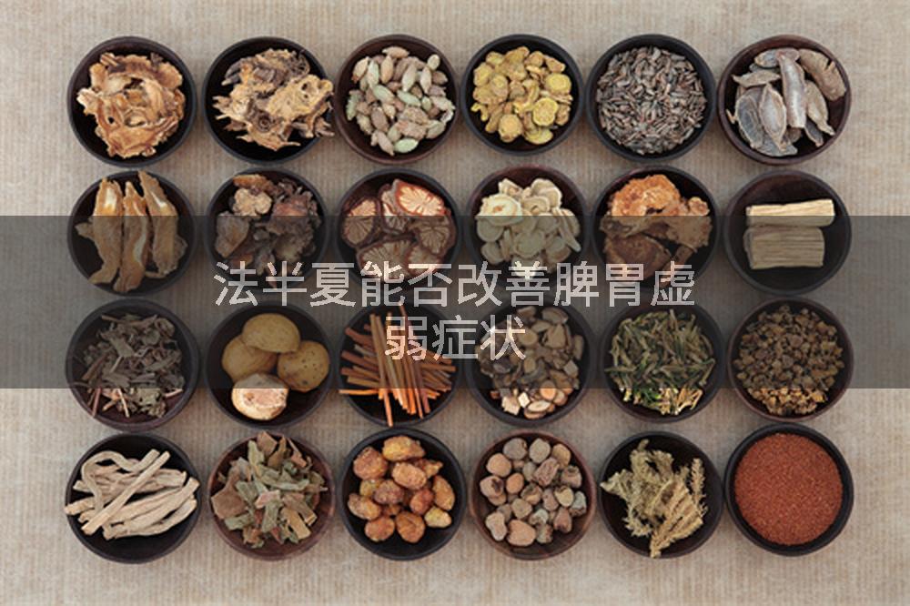 法半夏能否改善脾胃虚弱症状