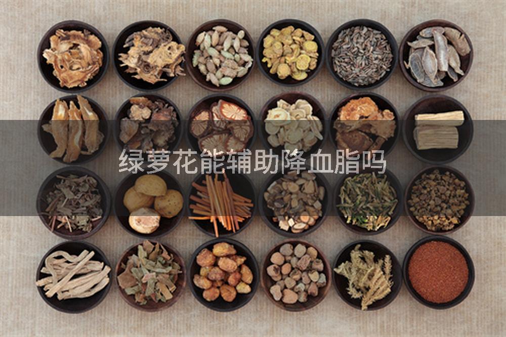 绿萝花能辅助降血脂吗