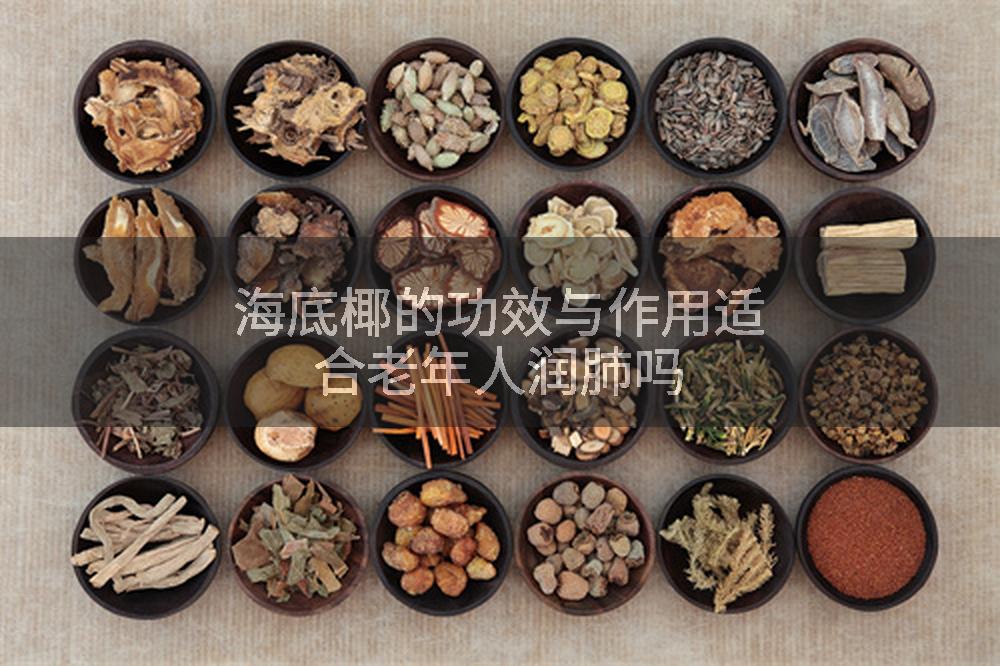 海底椰的功效与作用适合老年人润肺吗