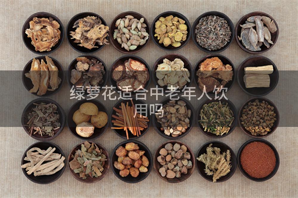 绿萝花适合中老年人饮用吗
