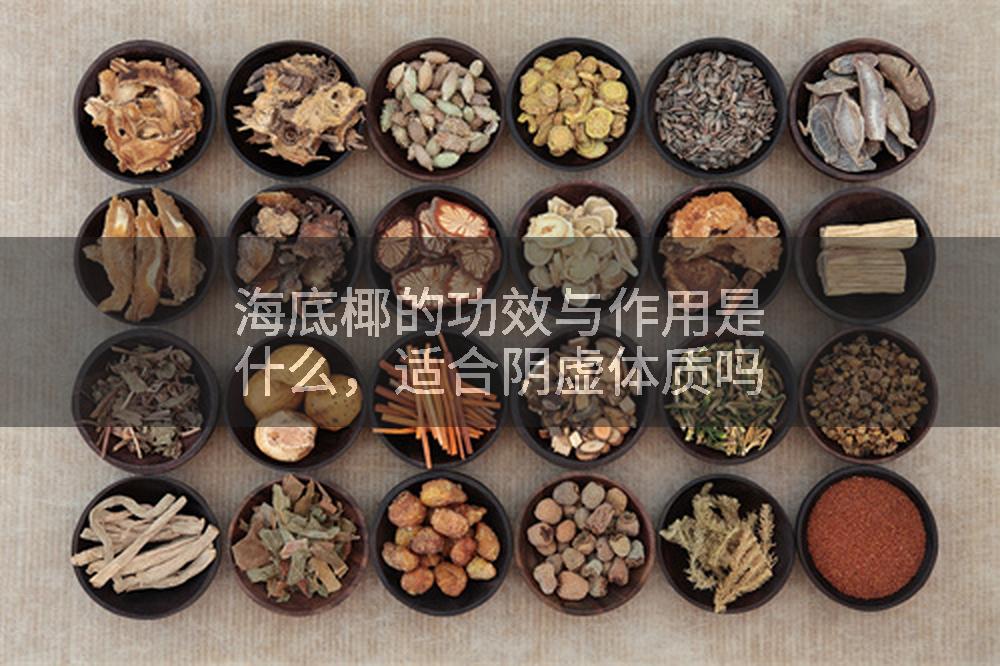 海底椰的功效与作用是什么，适合阴虚体质吗