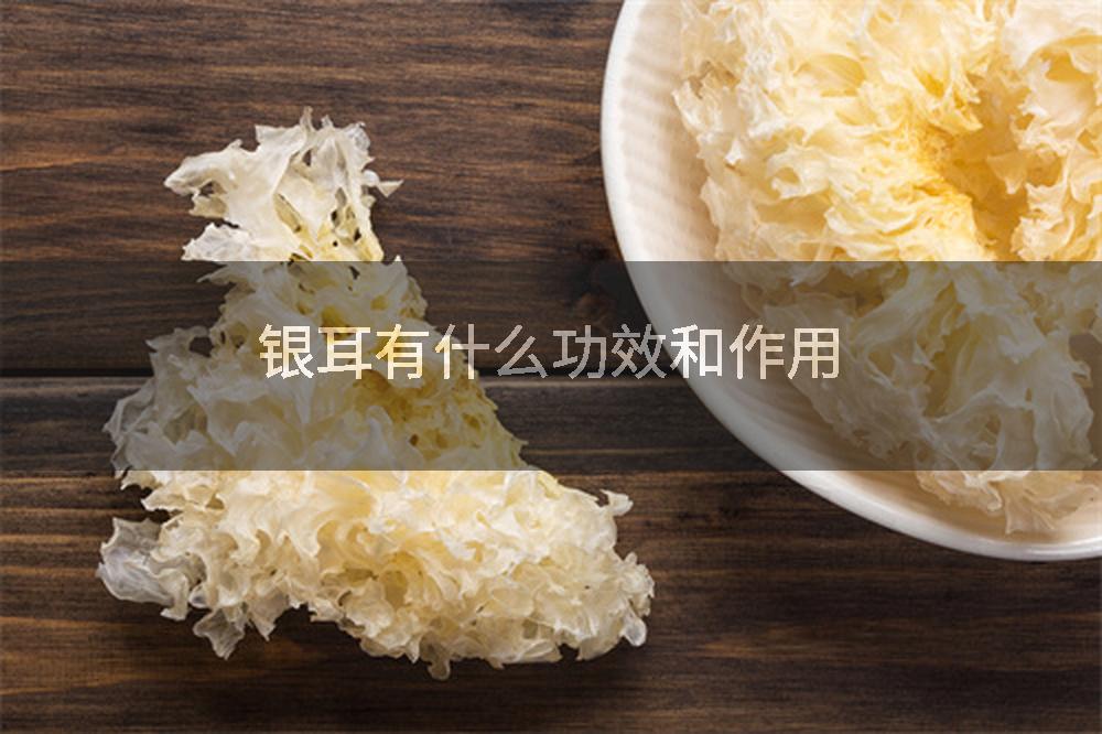 银耳有什么功效和作用