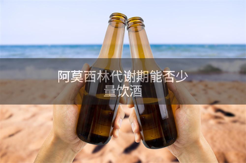 阿莫西林代谢期能否少量饮酒