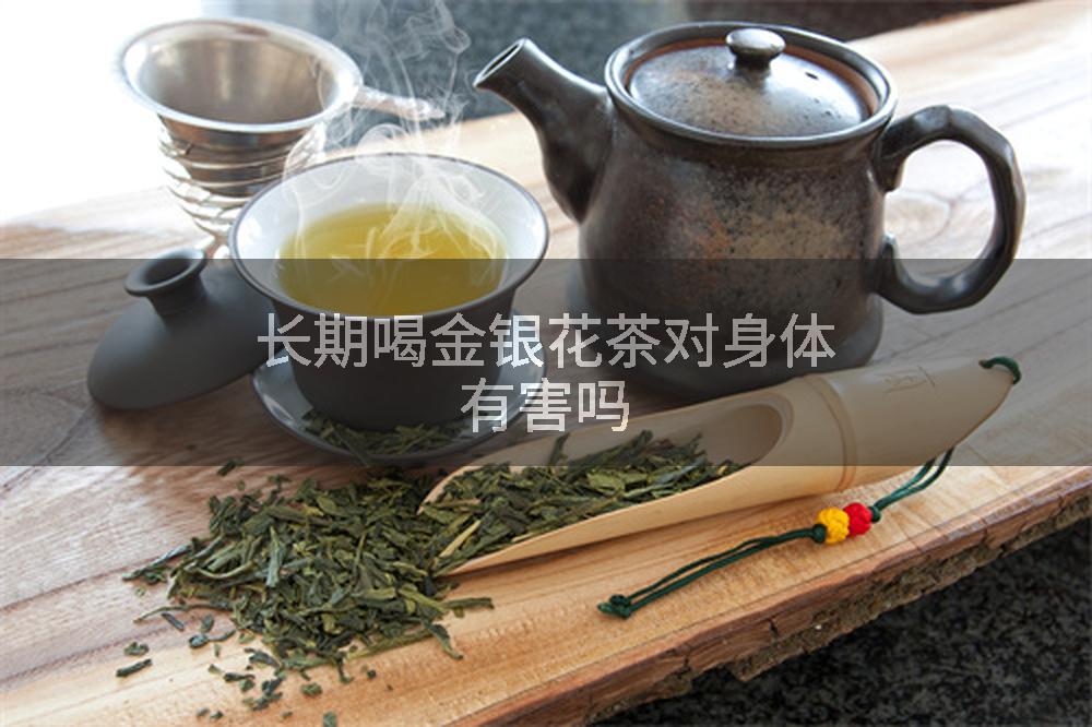 长期喝金银花茶对身体有害吗