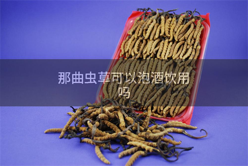 那曲虫草可以泡酒饮用吗