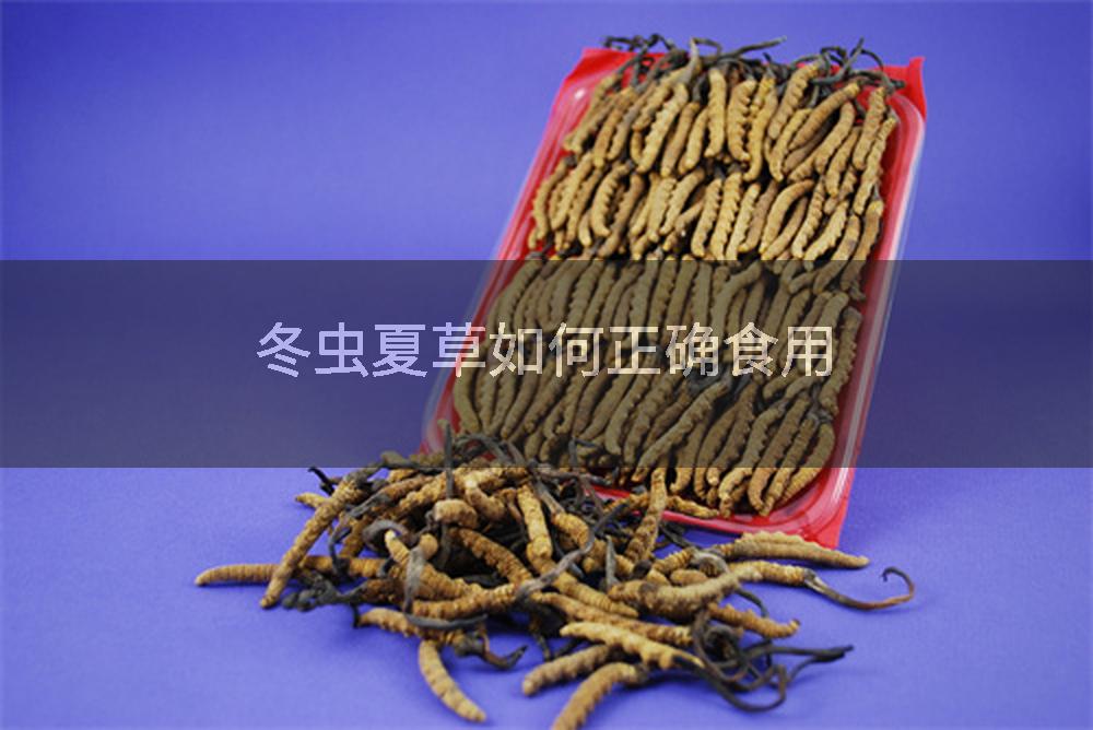 冬虫夏草如何正确食用