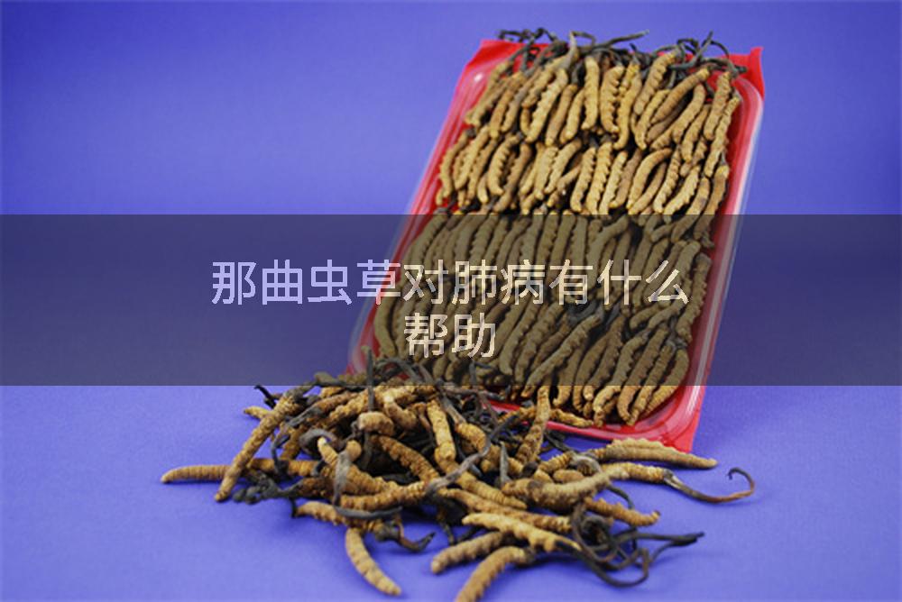 那曲虫草对肺病有什么帮助