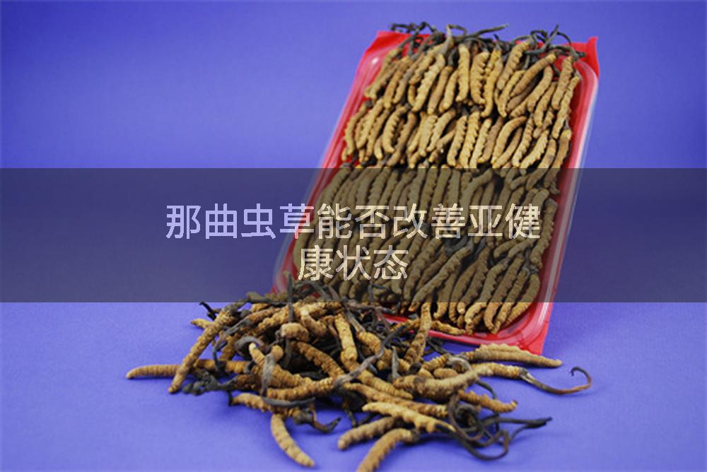 那曲虫草能否改善亚健康状态