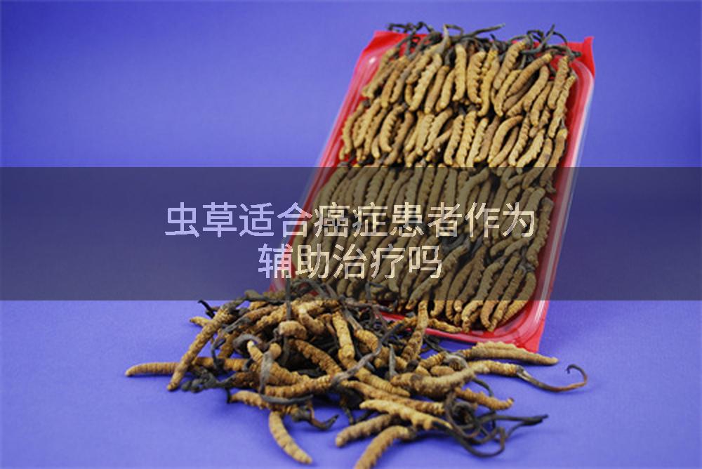 虫草适合癌症患者作为辅助治疗吗