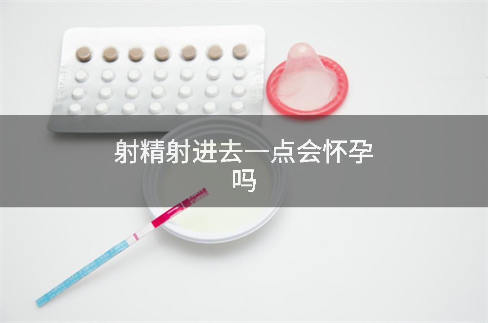 射精射进去一点会怀孕吗