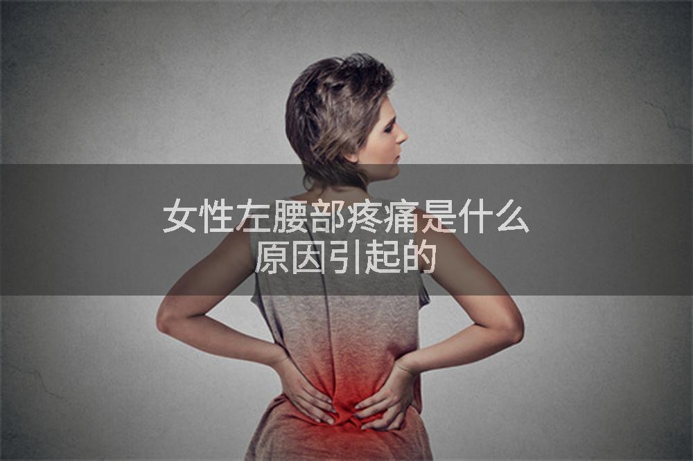 女性左腰部疼痛是什么原因引起的