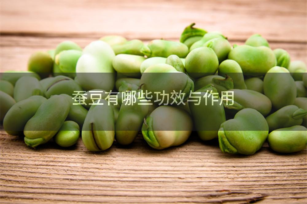 蚕豆有哪些功效与作用