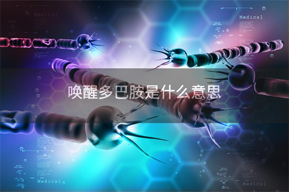唤醒多巴胺是什么意思