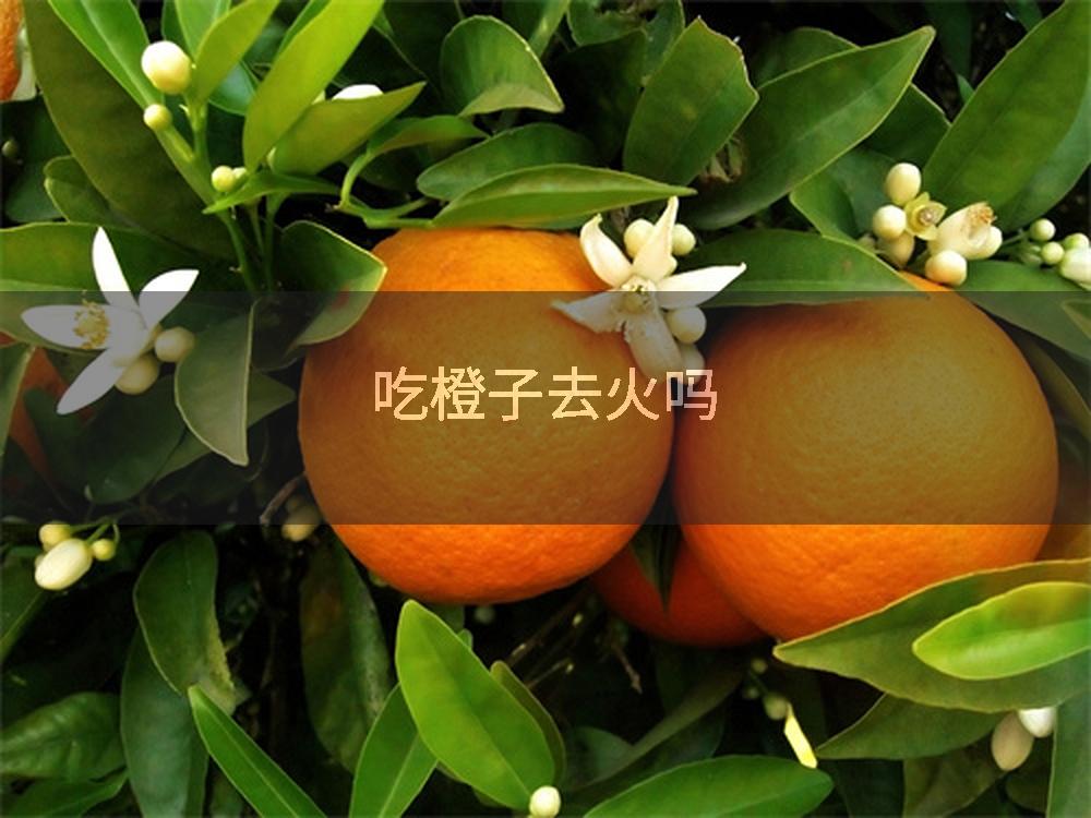 吃橙子去火吗