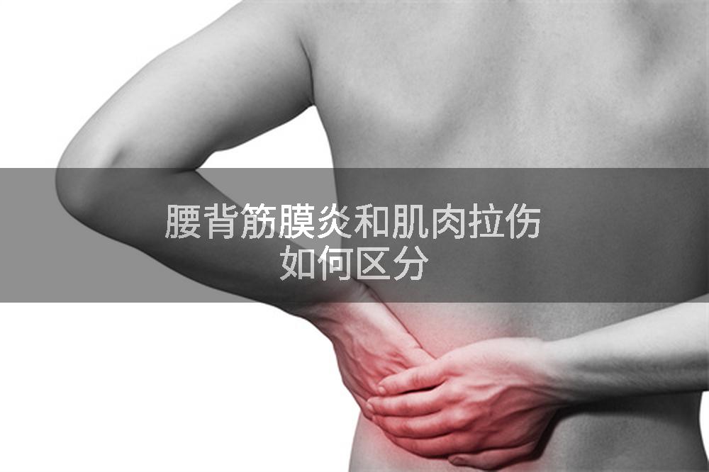 腰背筋膜炎和肌肉拉伤如何区分
