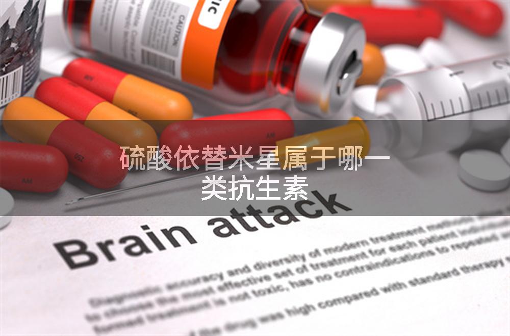 硫酸依替米星属于哪一类抗生素