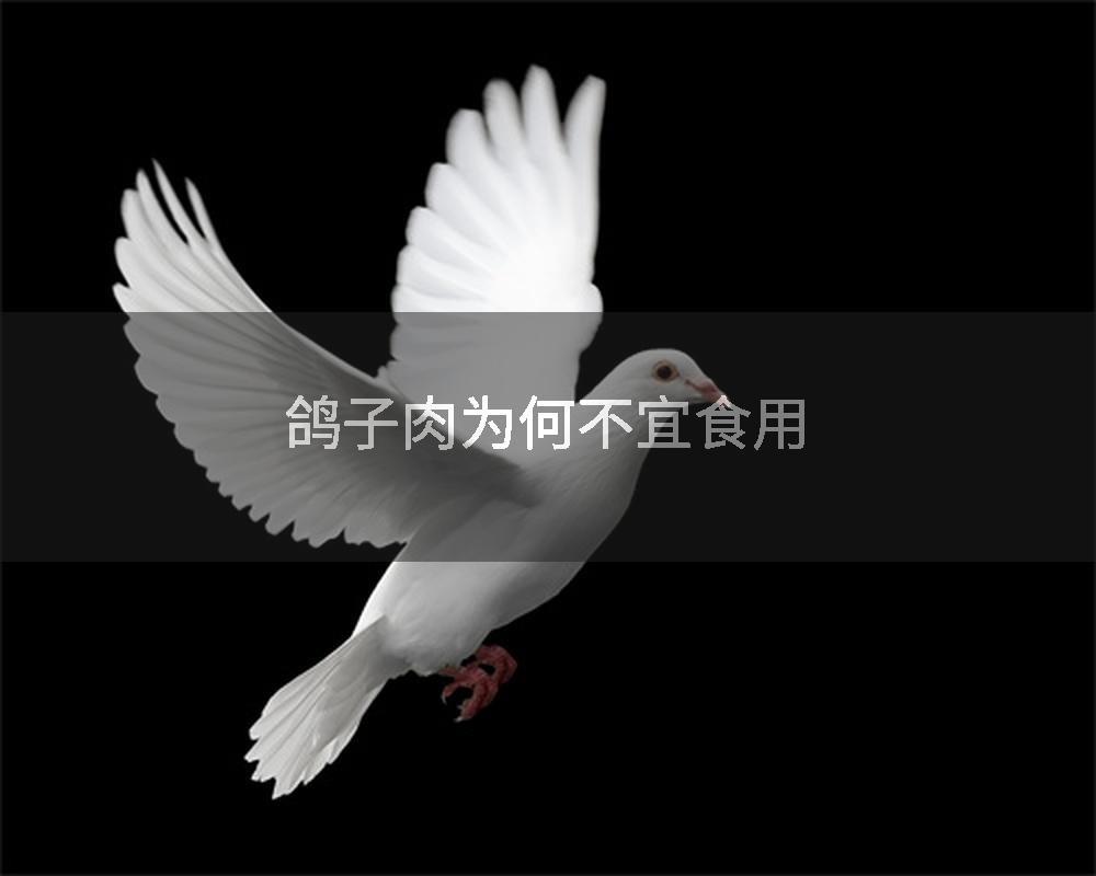 鸽子肉为何不宜食用