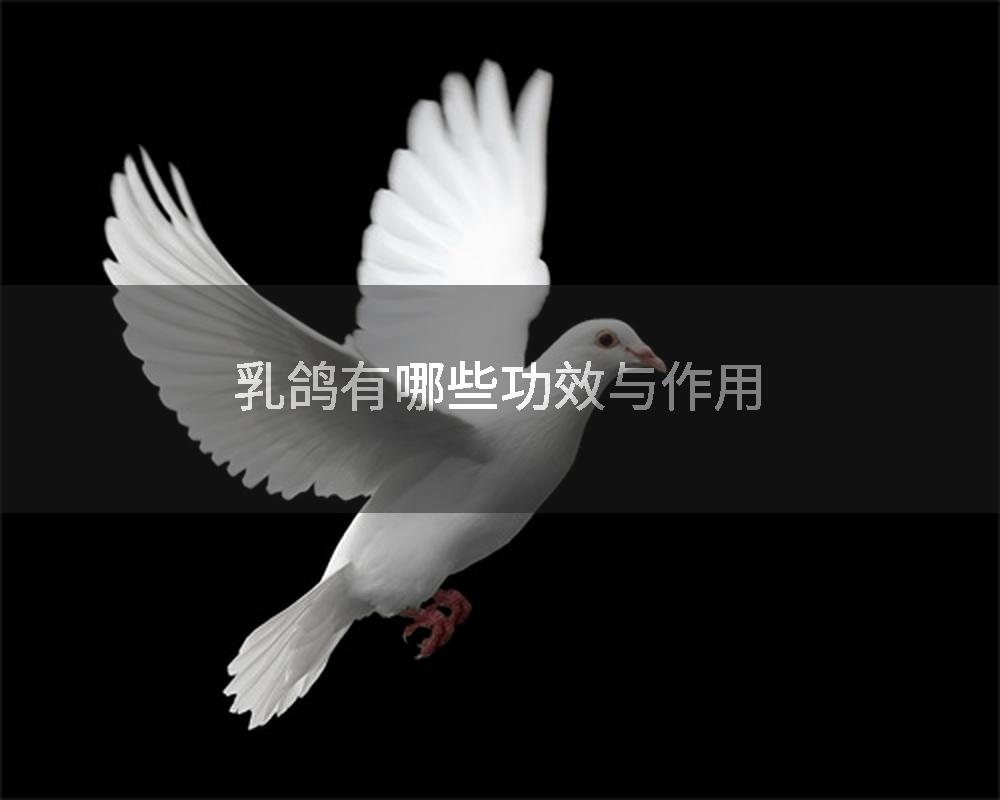 乳鸽有哪些功效与作用