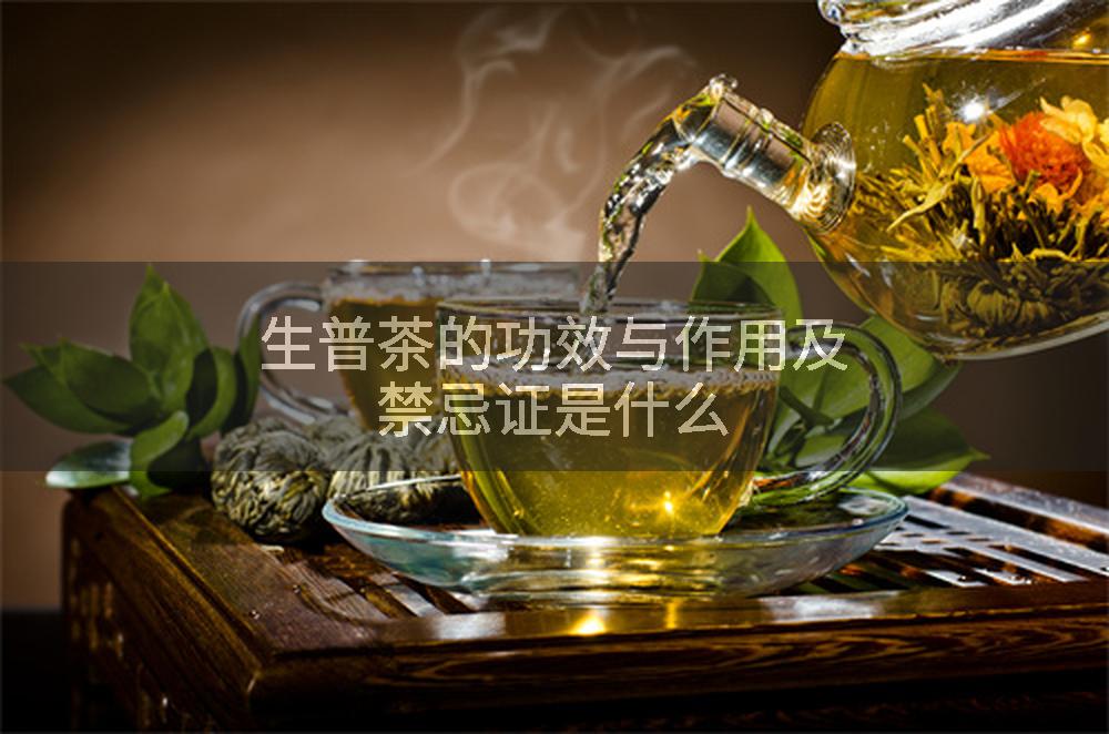 生普茶的功效与作用及禁忌证是什么