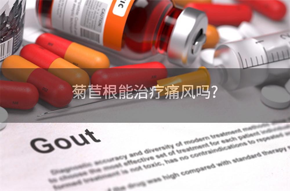 菊苣根能治疗痛风吗?