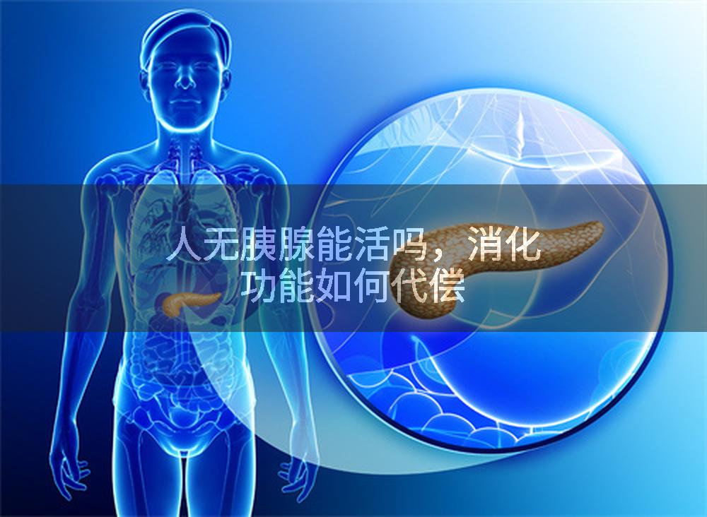 人无胰腺能活吗，消化功能如何代偿