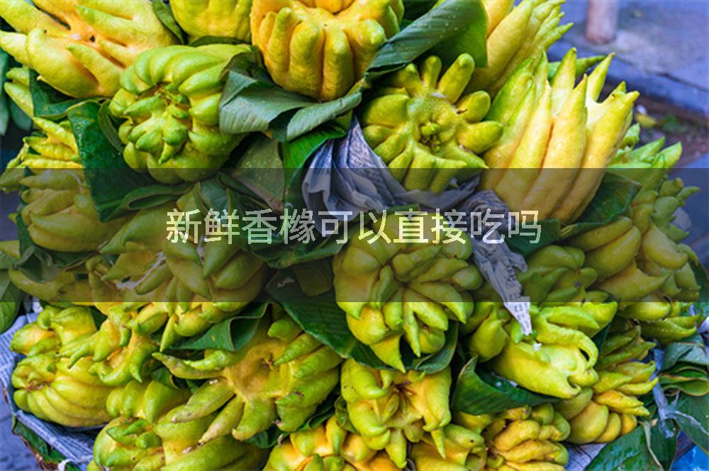 新鲜香橼可以直接吃吗