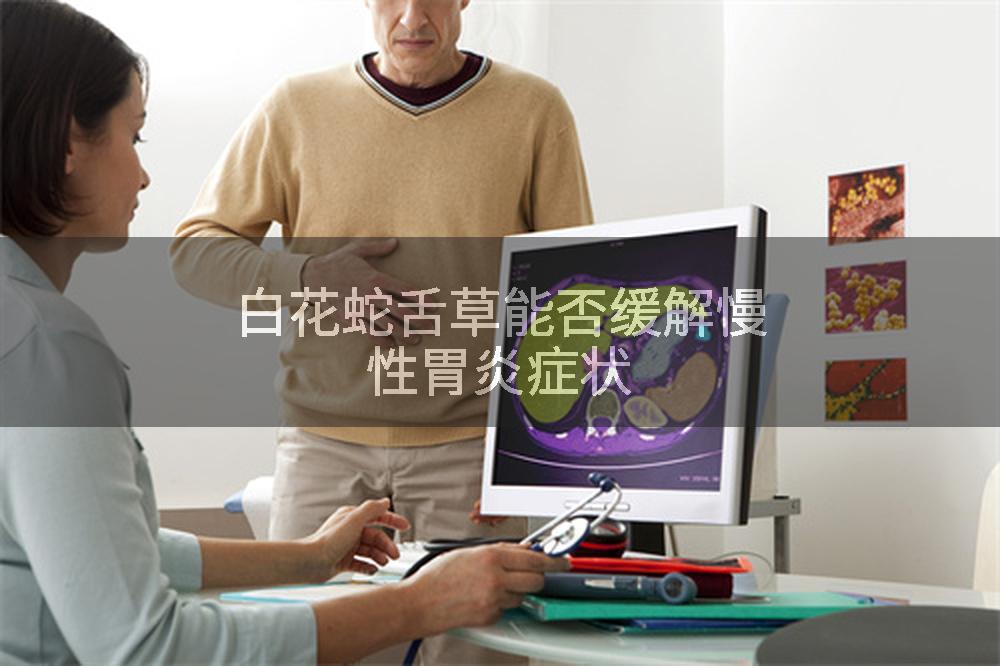 白花蛇舌草能否缓解慢性胃炎症状