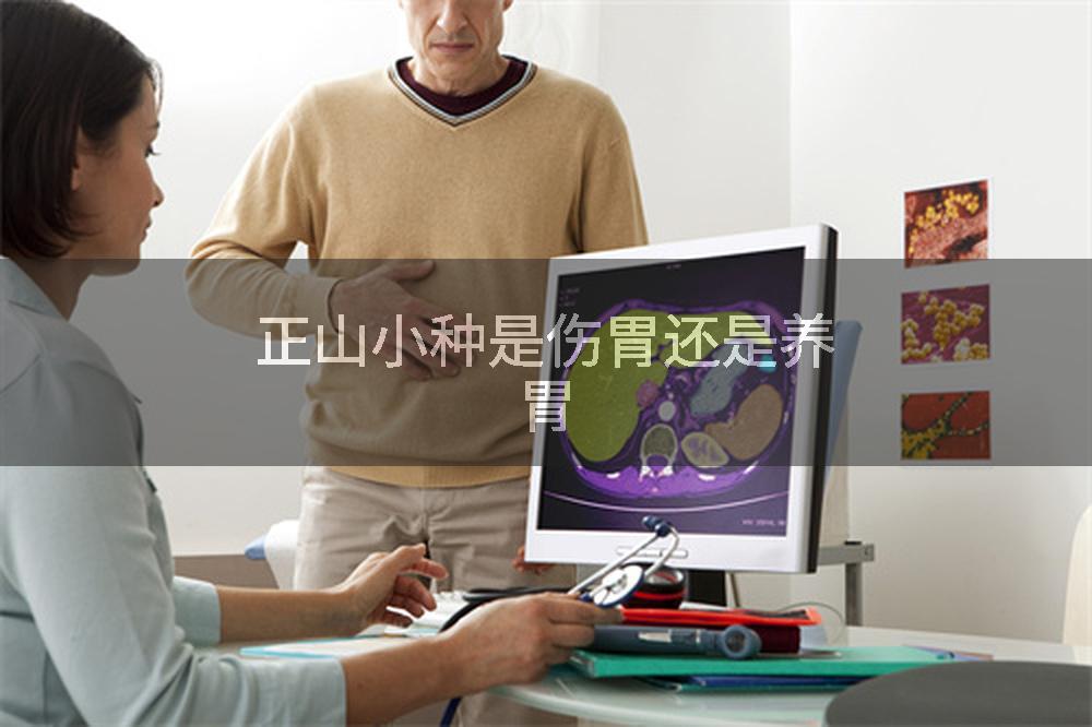 正山小种是伤胃还是养胃