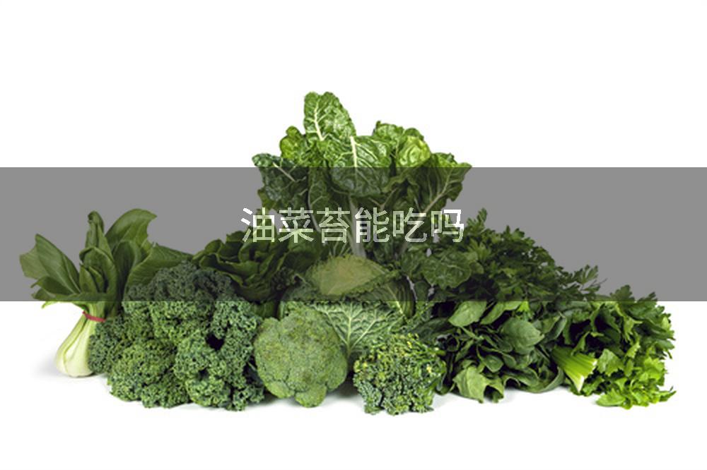 油菜苔能吃吗