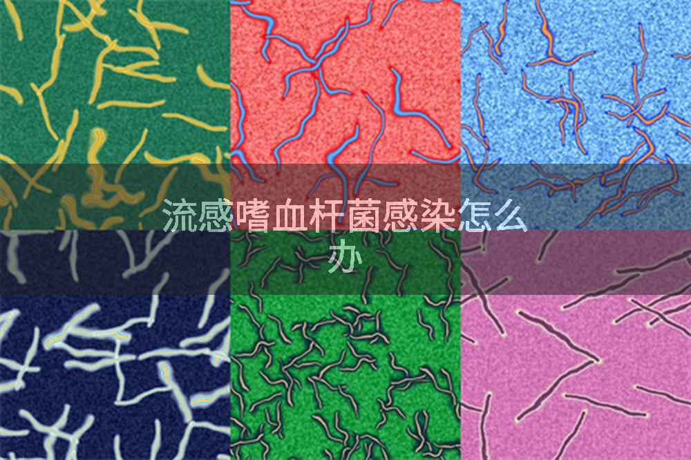 流感嗜血杆菌感染怎么办