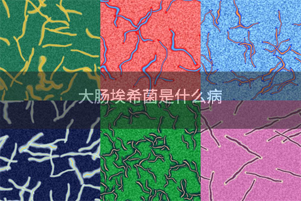大肠埃希菌是什么病