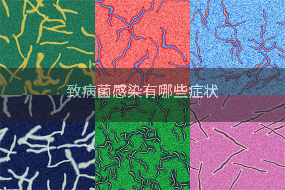 致病菌感染有哪些症状