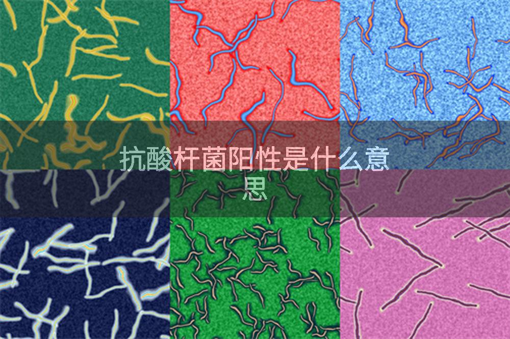 抗酸杆菌阳性是什么意思