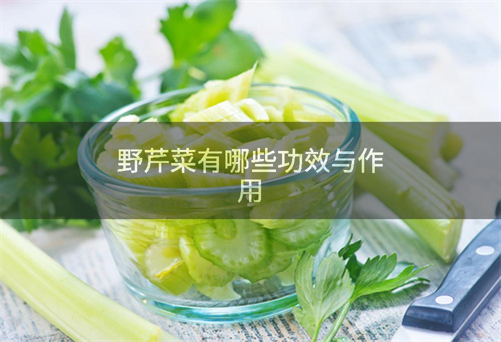 野芹菜有哪些功效与作用