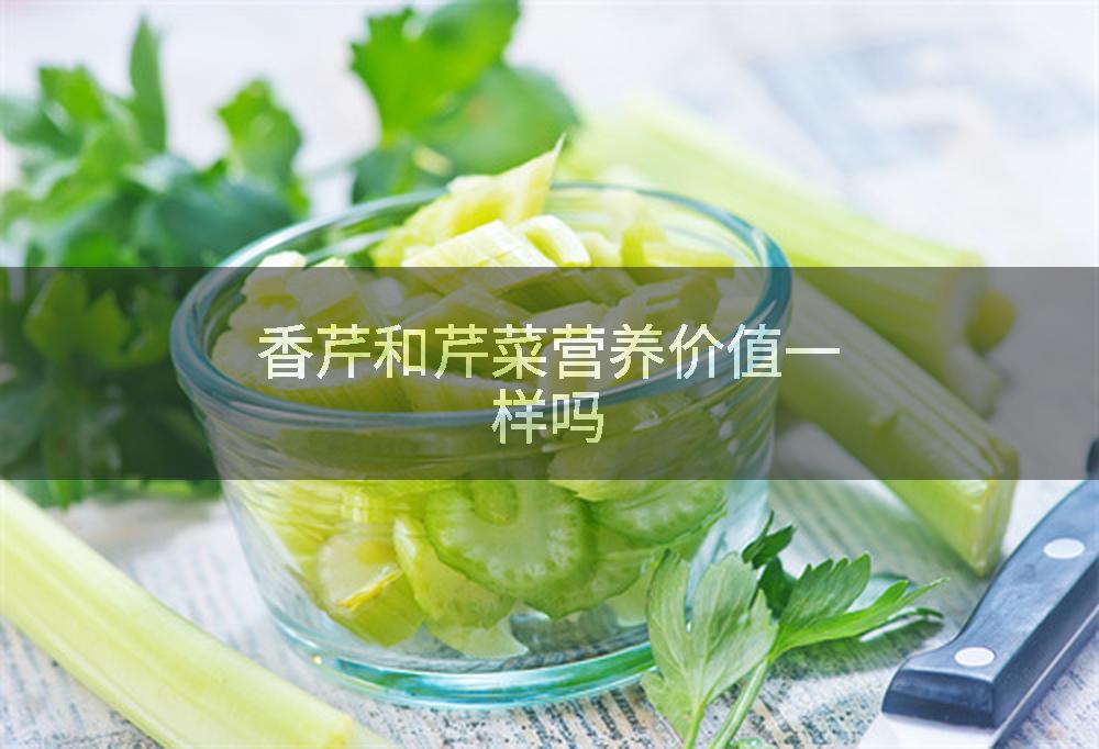 香芹和芹菜营养价值一样吗