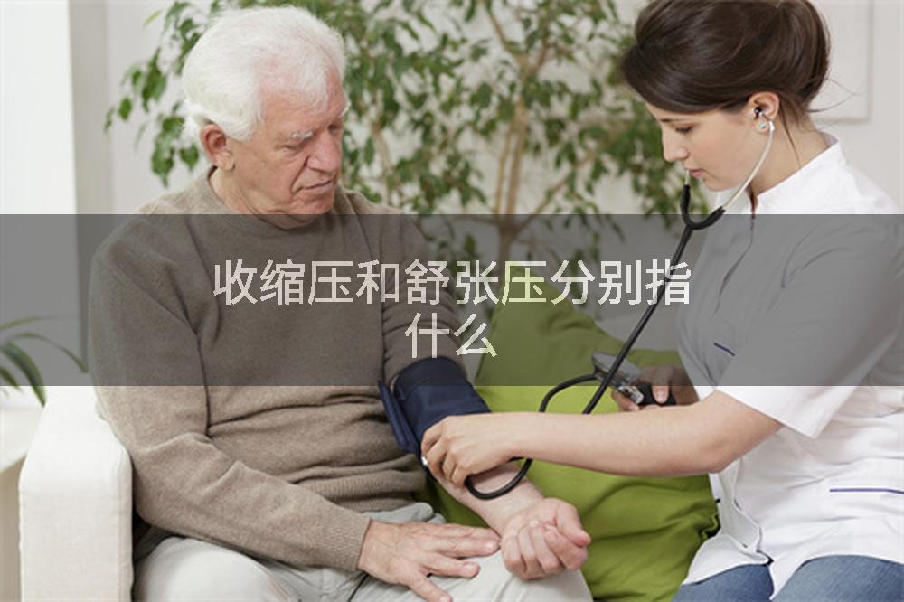 收缩压和舒张压分别指什么